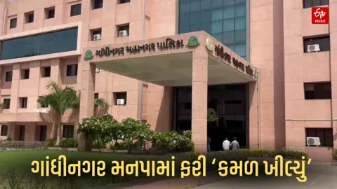 ગાંધીનગર મનપા ચૂંટણીના પરિણામ